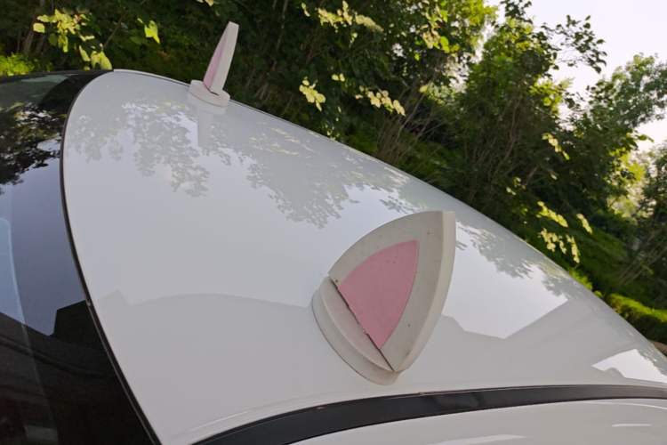 Used ORA White Cat 2020 360 km Luxury Version Roof