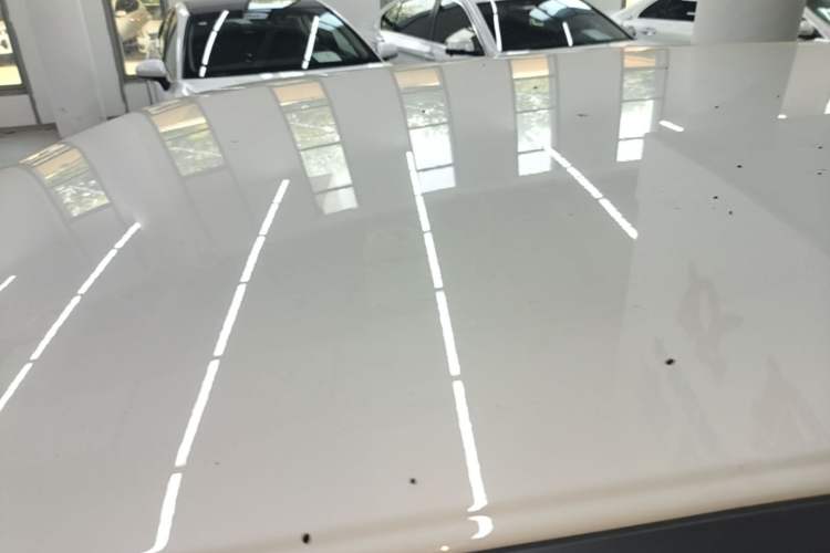 Used ORA White Cat 2020 305 km Luxury Version Roof