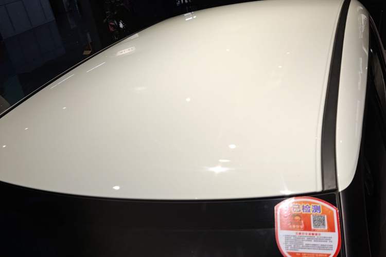 Used ORA White Cat 2020 305 km Luxury Version Roof