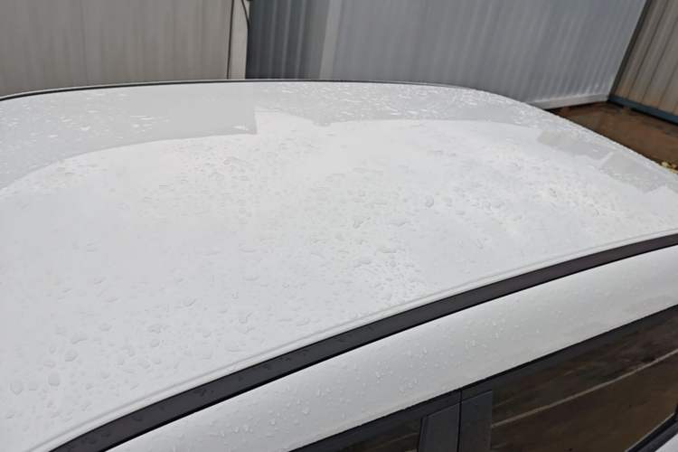 Used ORA White Cat 2020 305 km Luxury Version Roof
