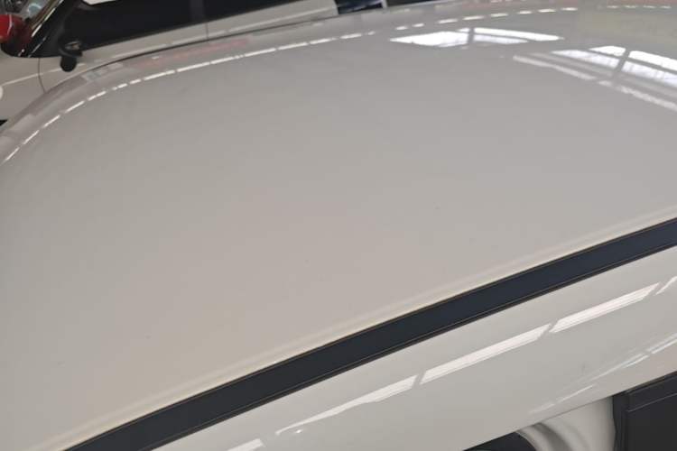 Used ORA White Cat 2020 305 km Luxury Version Roof