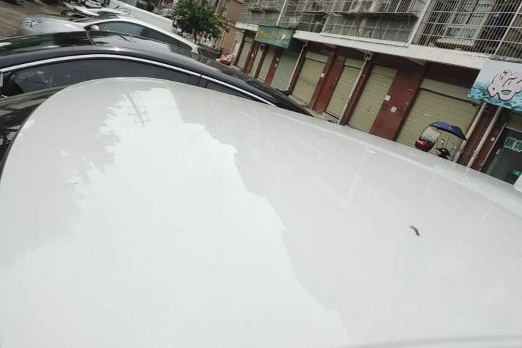 Used ORA White Cat 2020 305 km Luxury Version Roof