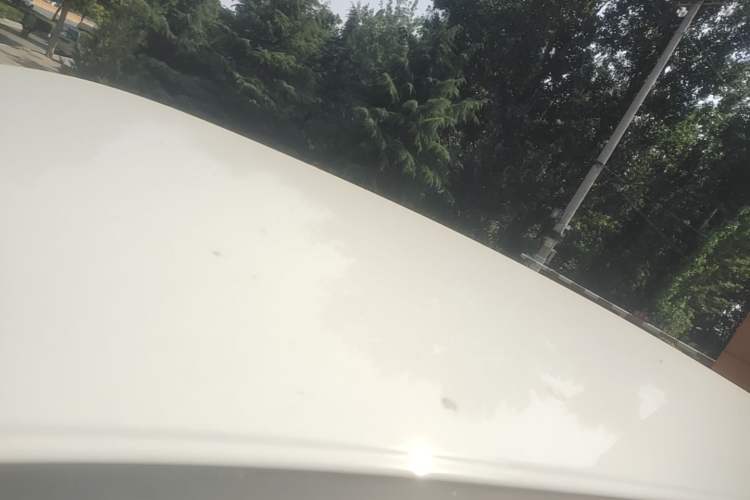 Used ORA White Cat 2020 401 km Long-Range Version Roof