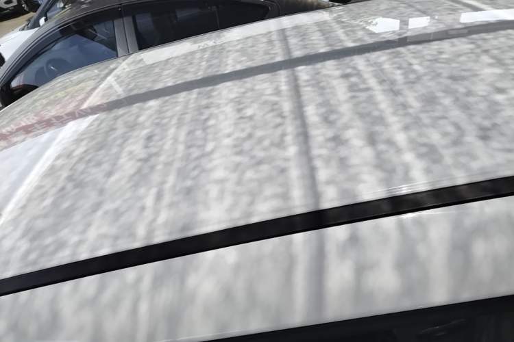 Used ORA White Cat 2020 305 km Luxury Version Roof