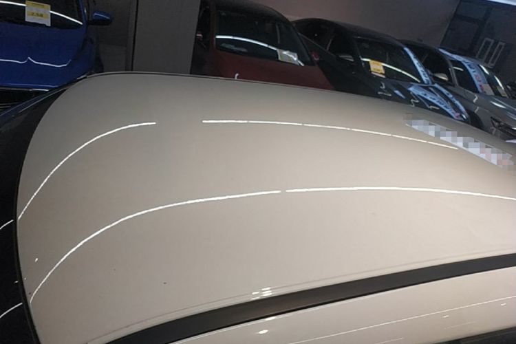 Used ORA White Cat 2020 305 km Luxury Version Roof