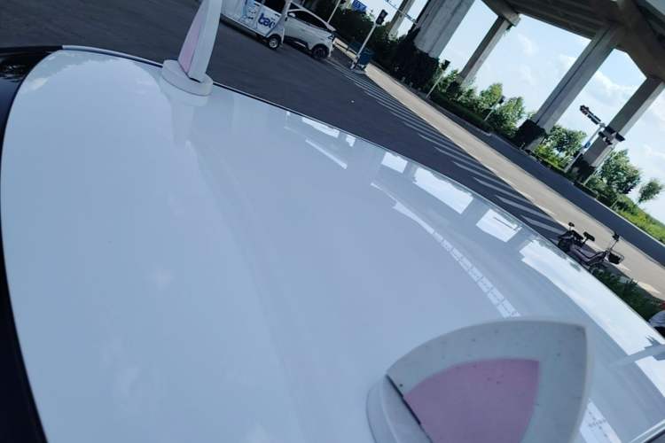 Used ORA White Cat 2020 360 km Luxury Version Roof