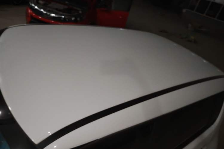 Used ORA White Cat 2020 360km Standard Version Roof