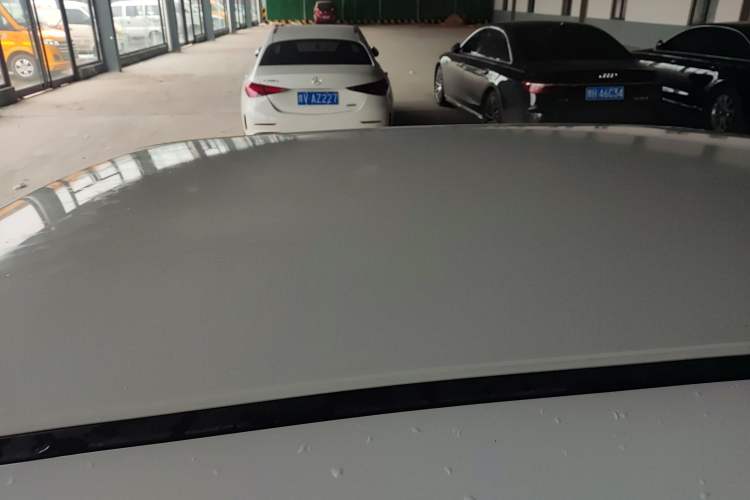 Used ORA White Cat 2020 401 km Long-Range Version Roof