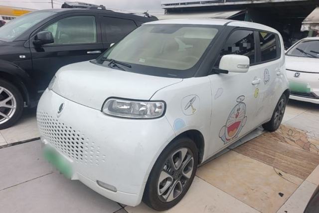 Used ORA White Cat 2020 305 km Luxury Version