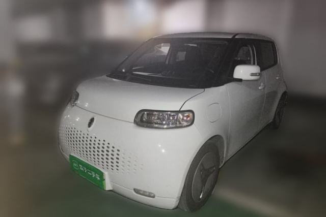 Used ORA White Cat 2020 360 km Luxury Version