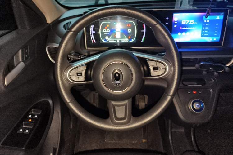 Used ORA White Cat 2020 401 km Long-Range Version Steering Wheel