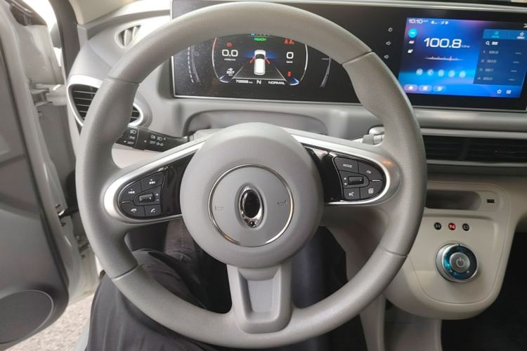 Used ORA White Cat 2020 360km Standard Version Steering Wheel