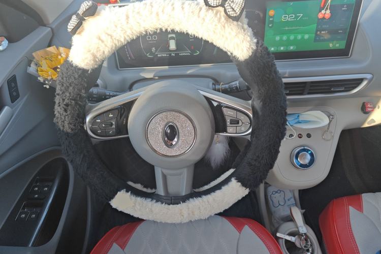 Used ORA White Cat 2020 305 km Luxury Version Steering Wheel