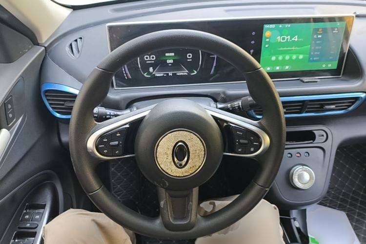 Used ORA White Cat 2020 305 km Luxury Version Steering Wheel