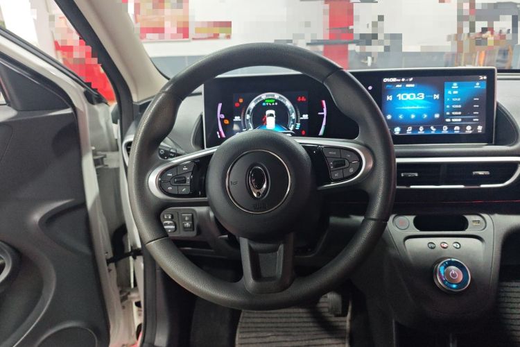 Used ORA White Cat 2020 360 km Luxury Version Steering Wheel