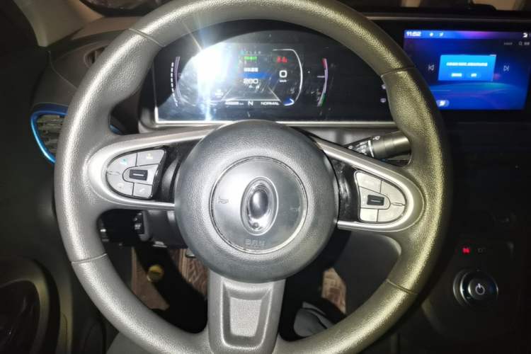 Used ORA White Cat 2020 305 km Luxury Version Steering Wheel