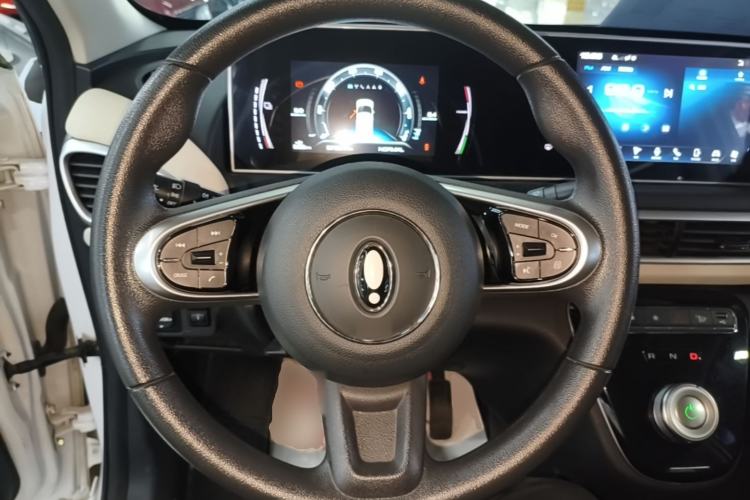 Used ORA White Cat 2020 305 km Luxury Version Steering Wheel