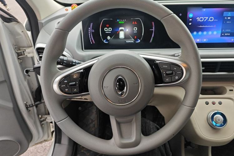 Used ORA White Cat 2020 305 km Luxury Version Steering Wheel