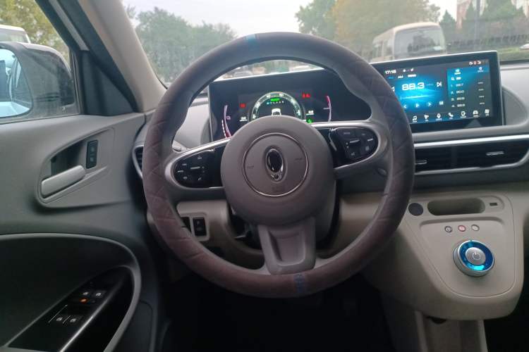 Used ORA White Cat 2020 401 km Flagship Version Steering Wheel