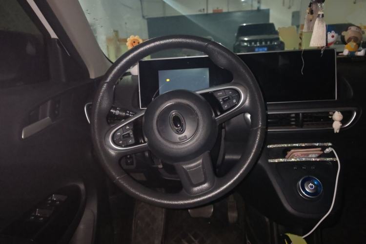 Used ORA White Cat 2020 360km Standard Version Steering Wheel