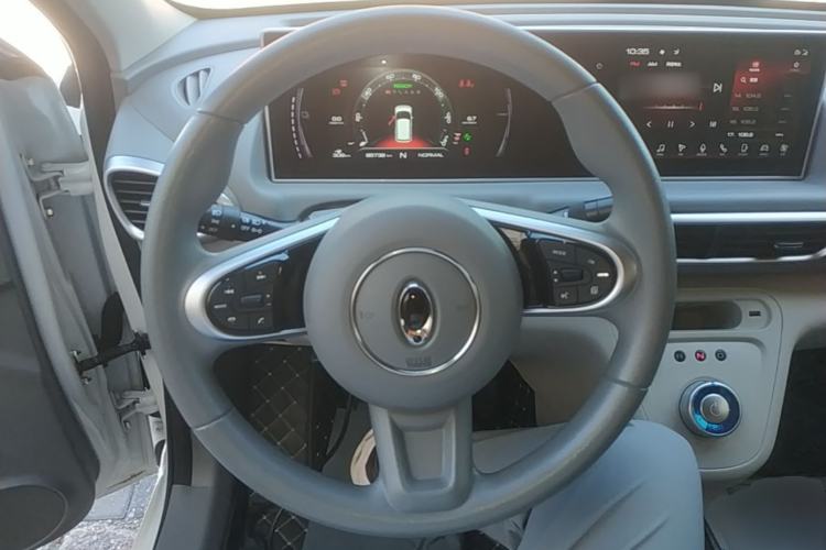 Used ORA White Cat 2020 401 km Flagship Version Steering Wheel