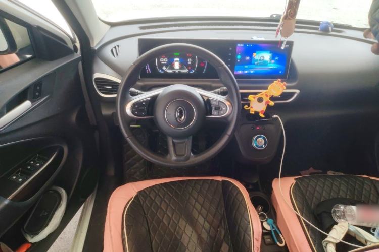Used ORA White Cat 2020 305 km Luxury Version Steering Wheel