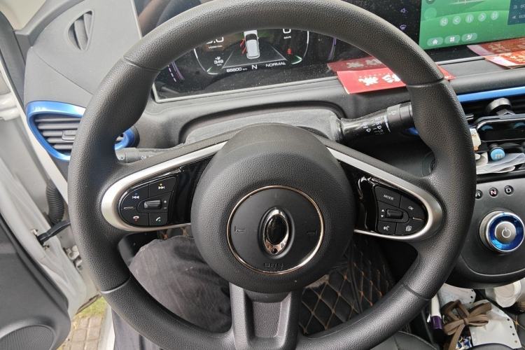 Used ORA White Cat 2020 401 km Long-Range Version Steering Wheel