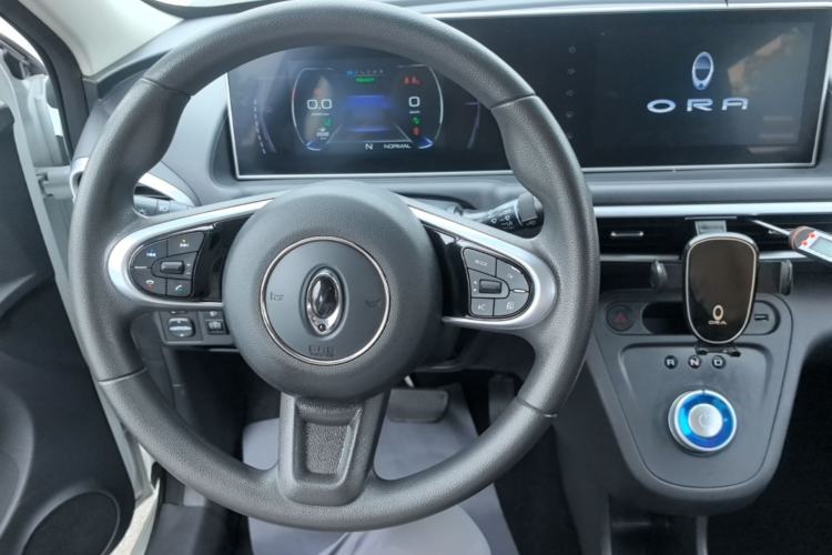 Used ORA White Cat 2020 401 km Flagship Version Steering Wheel