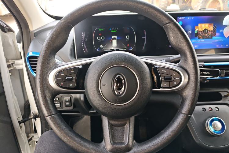 Used ORA White Cat 2020 360 km Luxury Version Steering Wheel