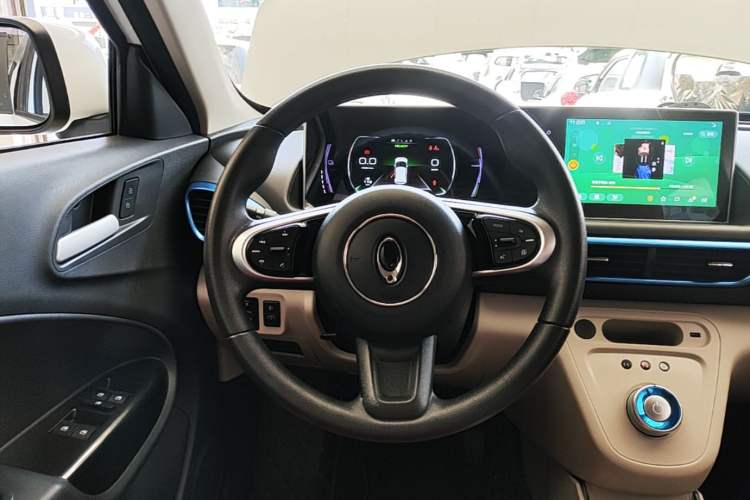 Used ORA White Cat 2020 305 km Luxury Version Steering Wheel