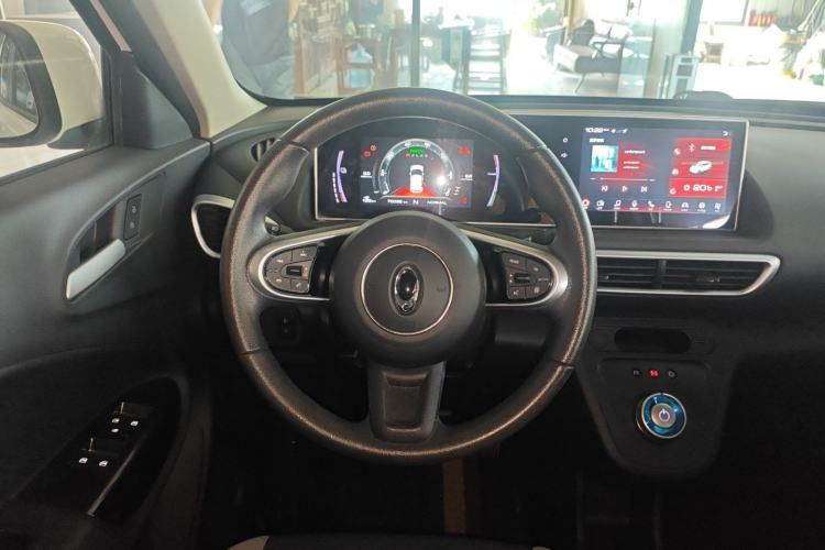 Used ORA White Cat 2020 360km Standard Version Steering Wheel