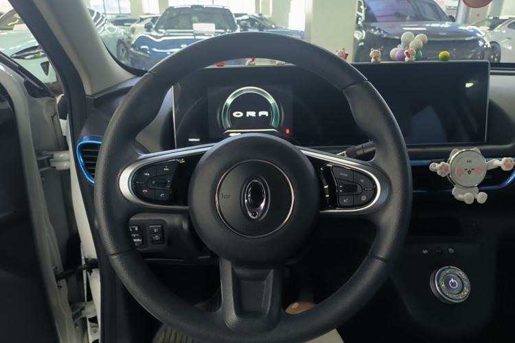 Used ORA White Cat 2020 305 km Luxury Version Steering Wheel