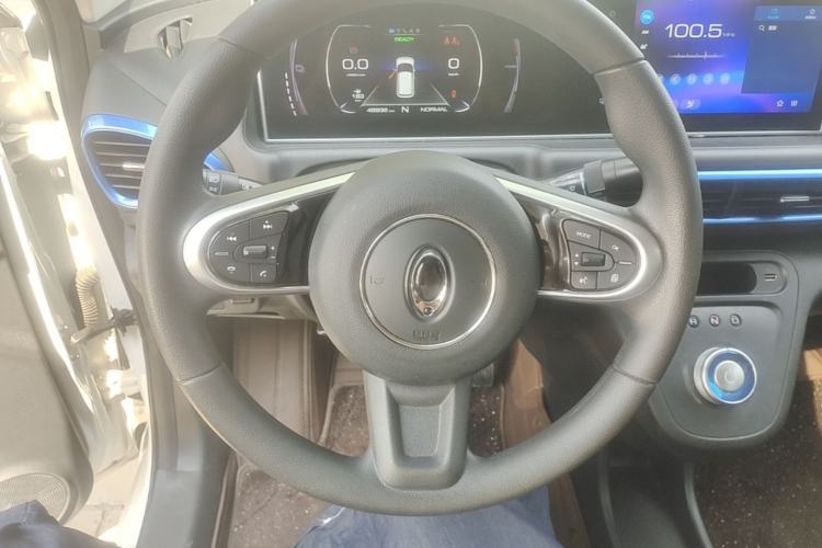 Used ORA White Cat 2020 401 km Long-Range Version Steering Wheel