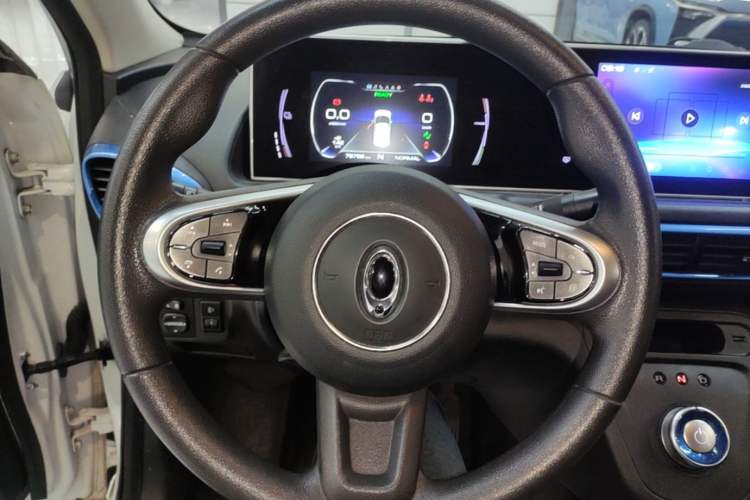 Used ORA White Cat 2020 401 km Long-Range Version Steering Wheel