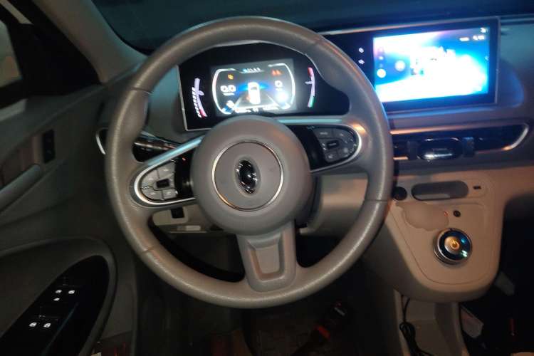 Used ORA White Cat 2020 360km Standard Version Steering Wheel