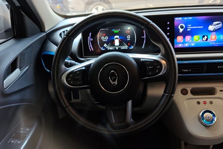 Used ORA White Cat 2020 305 km Luxury Version Steering Wheel