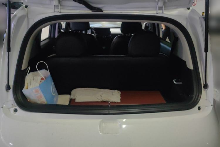 Used ORA White Cat 2020 305 km Luxury Version Trunk