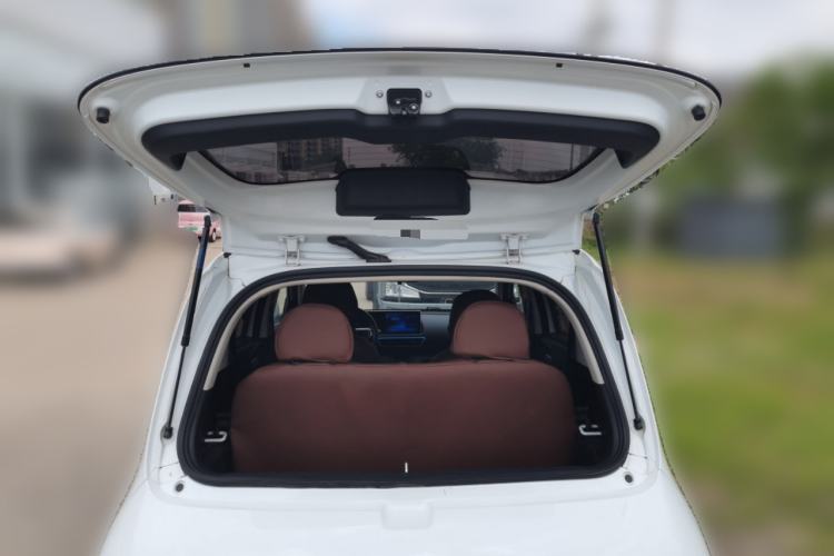 Used ORA White Cat 2020 305 km Luxury Version Trunk