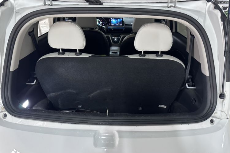 Used ORA White Cat 2020 305 km Luxury Version Trunk
