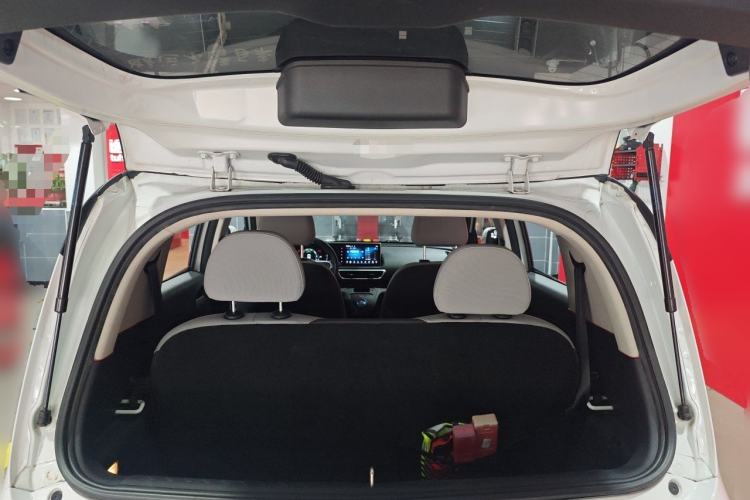 Used ORA White Cat 2020 360 km Luxury Version Trunk