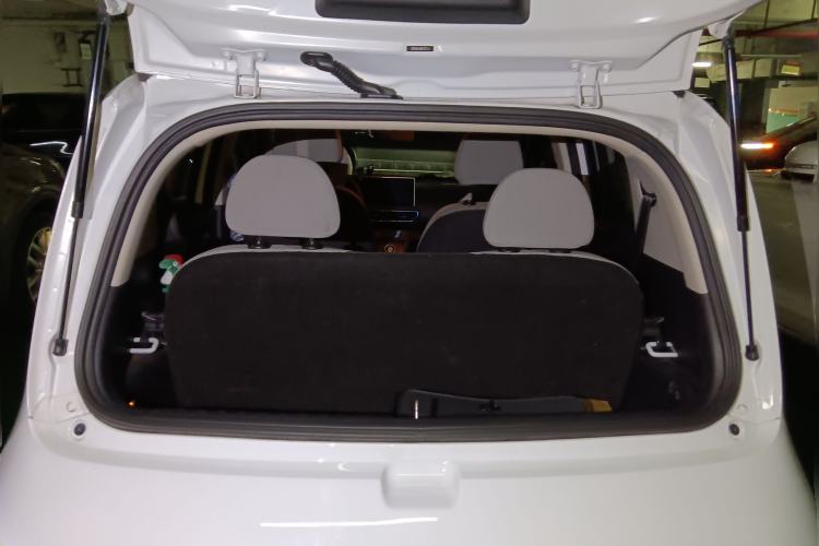 Used ORA White Cat 2020 305 km Luxury Version Trunk