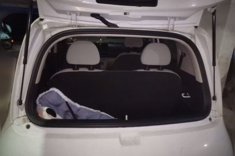 Used ORA White Cat 2020 305 km Luxury Version Trunk