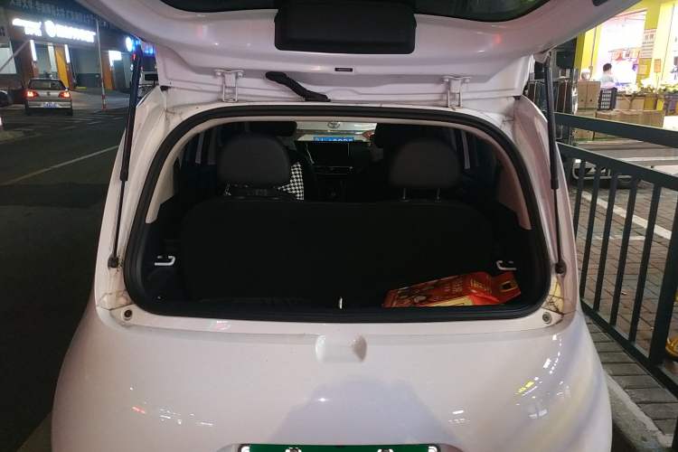 Used ORA White Cat 2020 401 km Long-Range Version Trunk
