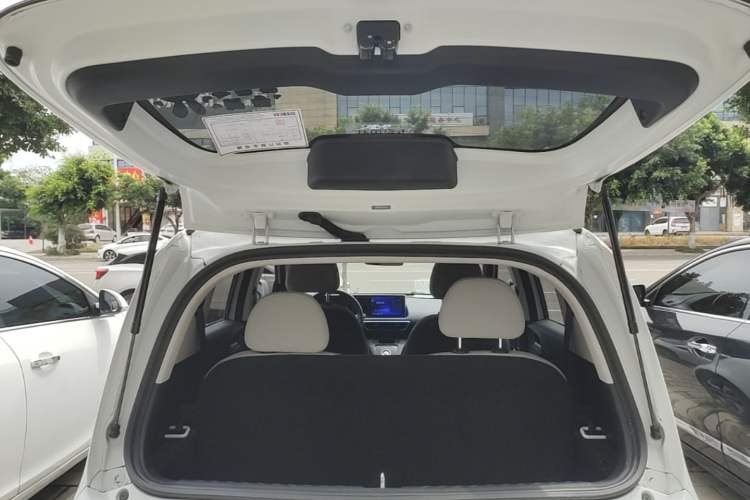 Used ORA White Cat 2020 305 km Luxury Version Trunk