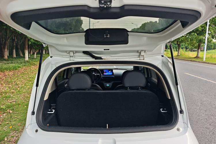 Used ORA White Cat 2020 305 km Luxury Version Trunk