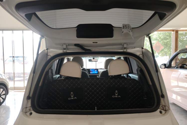 Used ORA White Cat 2020 305 km Luxury Version Trunk