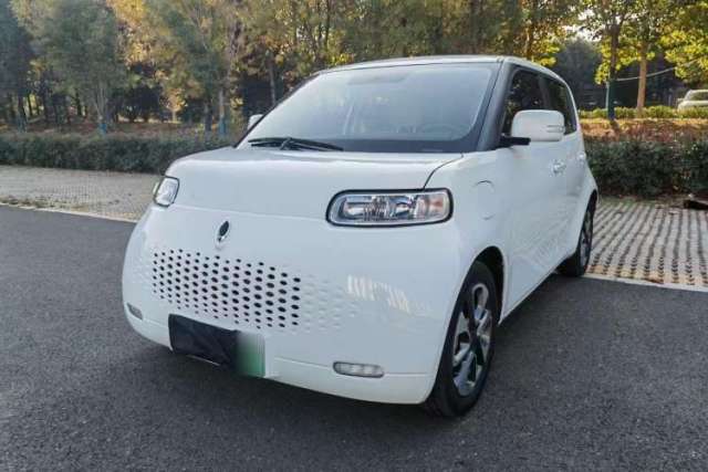 Used ORA White Cat 2020 305 km Luxury Version
