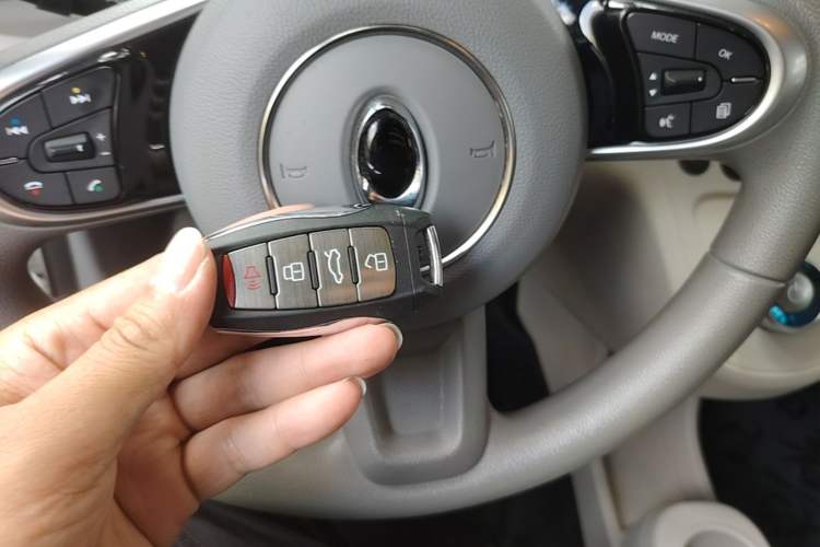 Used ORA White Cat 2020 360km Standard Version Vehicle Key