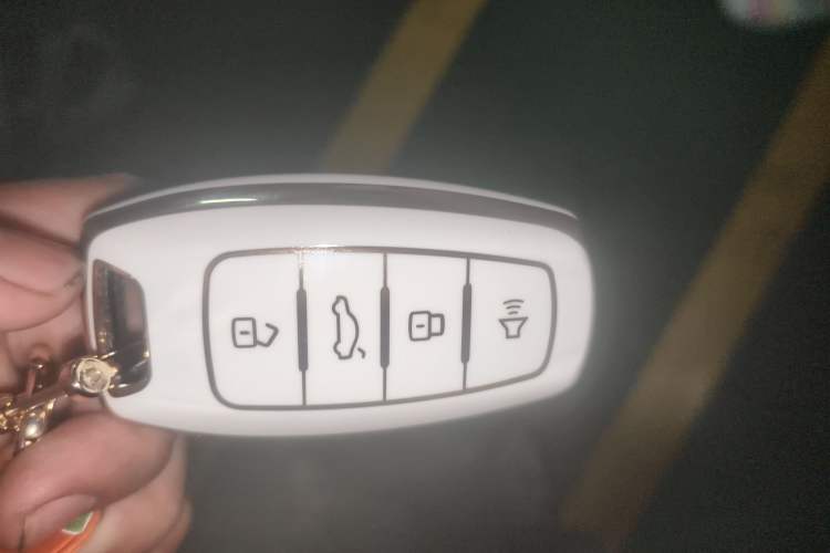 Used ORA White Cat 2020 305 km Luxury Version Vehicle Key