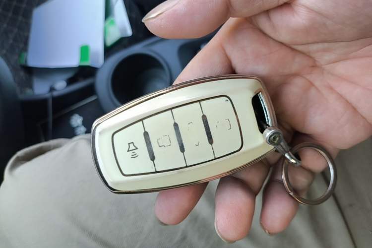 Used ORA White Cat 2020 305 km Luxury Version Vehicle Key